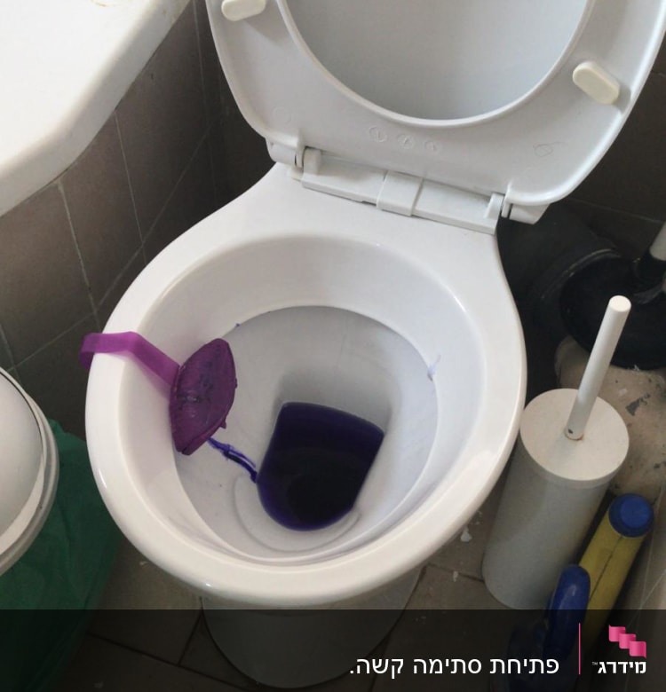 אסלה עם חומר ניקוי סגול ומברשת שירותים